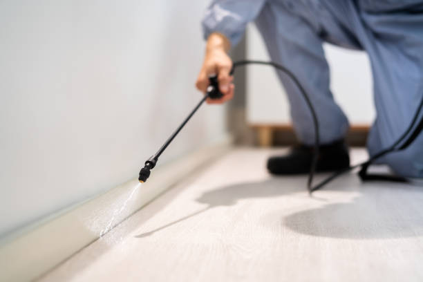 Licensed Emergency Pest Control service in Clover Creek, WA - Nex Pest Control