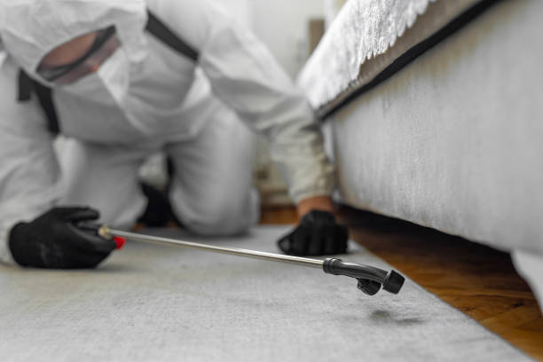 Professional Emergency Pest Control technician working in Clover Creek, WA