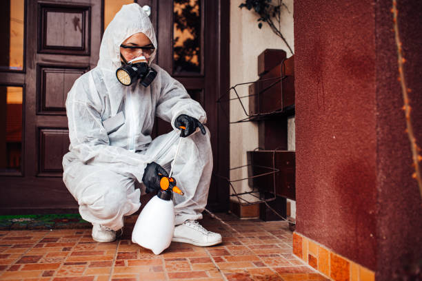 Reliable Emergency Pest Control contractor in Clover Creek, WA by Nex Pest Control