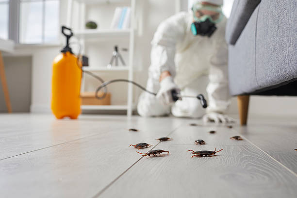 Trusted Fumigation Services service in Clover Creek, WA - Nex Pest Control
