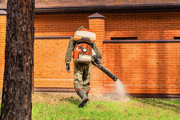Trusted Emergency Pest Control service in Clover Creek, WA - Nex Pest Control